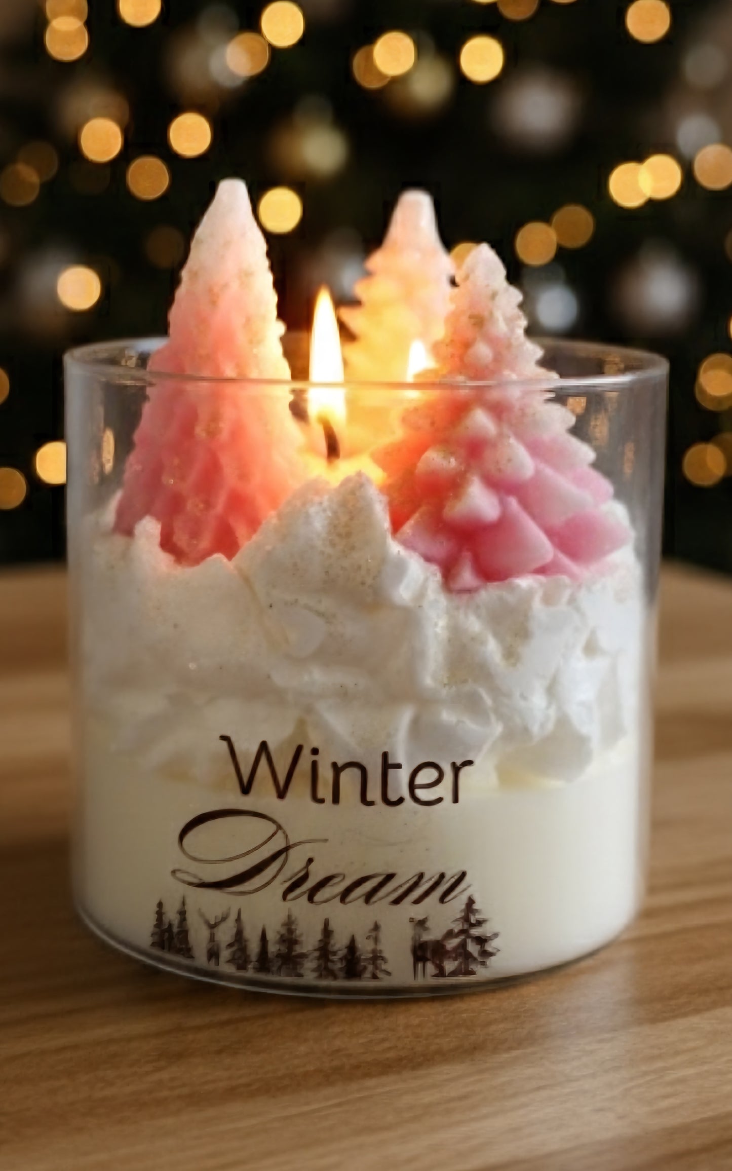 Winter Dream
